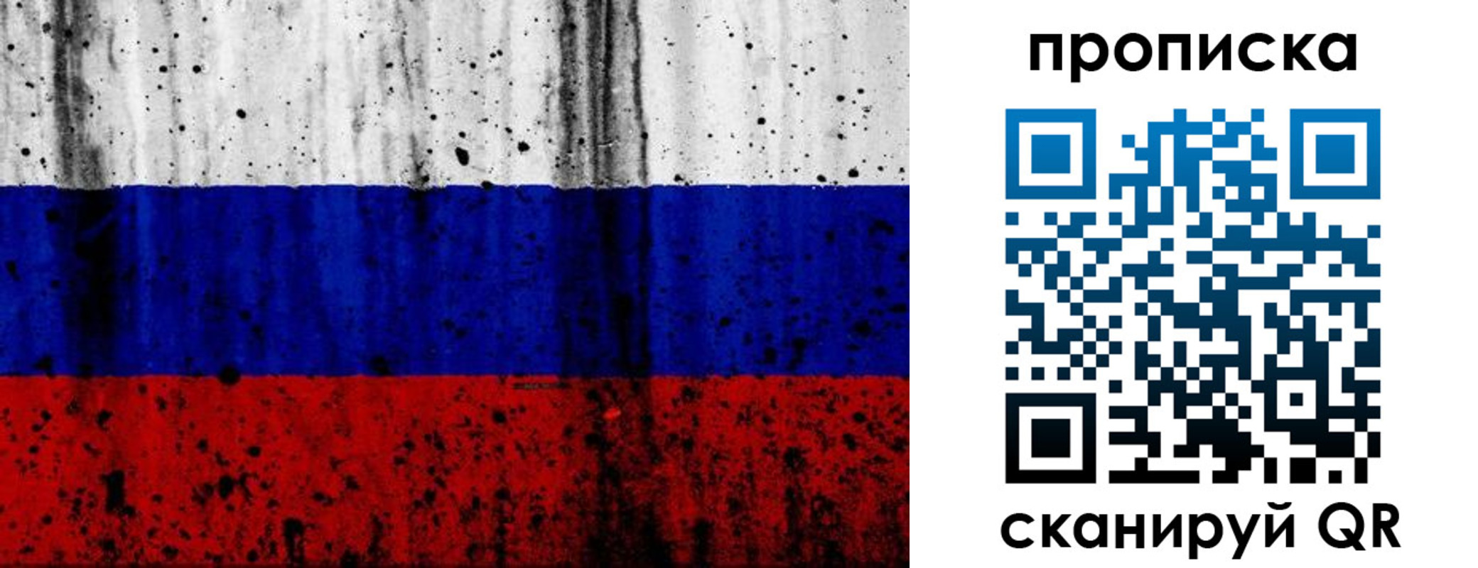 прописка поиск в Домодедово